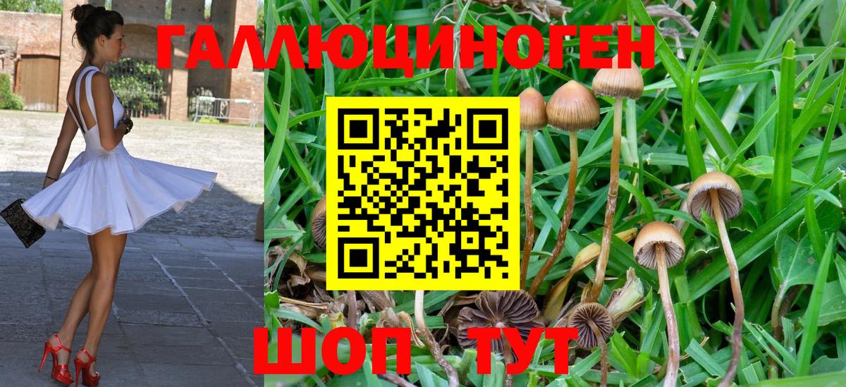 Псилоцибиновые грибы Psilocybine cubensis  Галлюциногенные грибы Psilocybe  Добрянка  Вход с VPN 